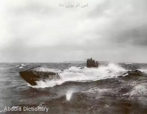 اس ام یوبی ۱۱۰